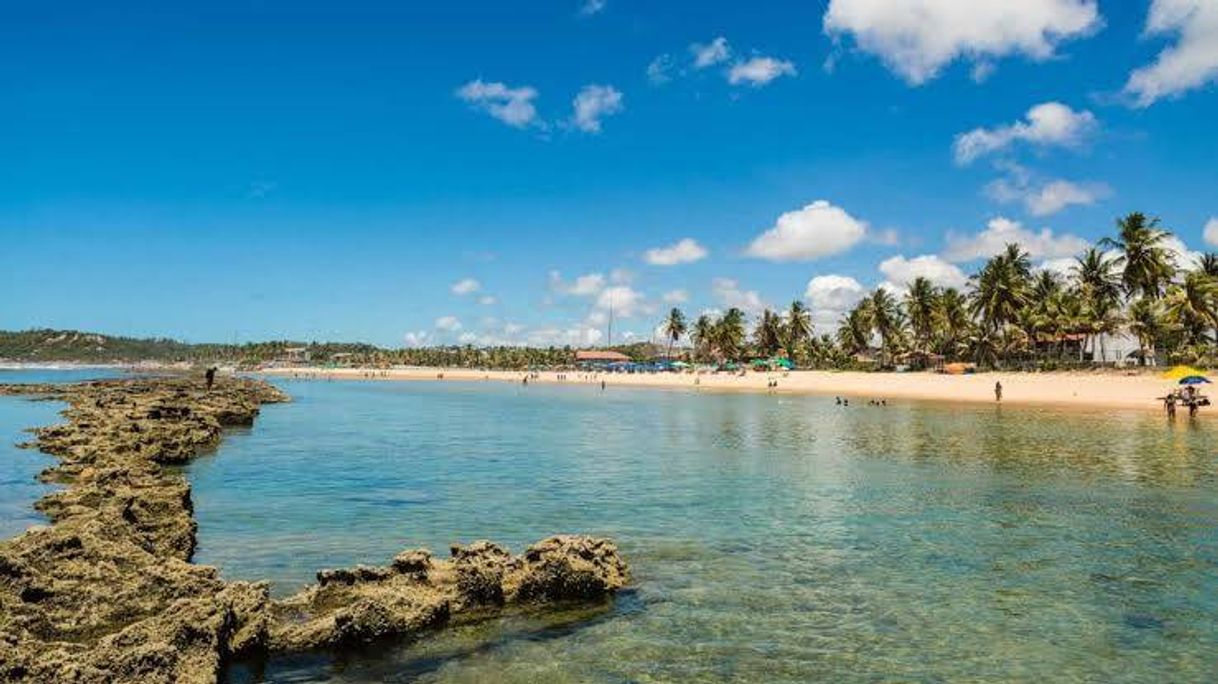 Lugar Enseada dos Corais