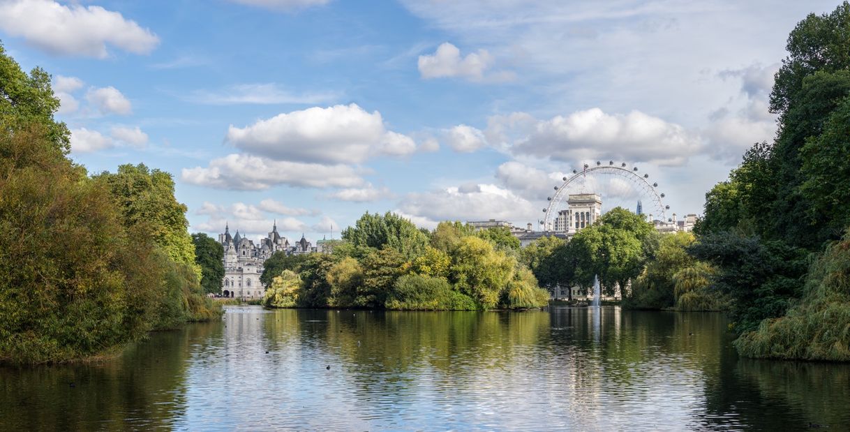 Lugar St James Park