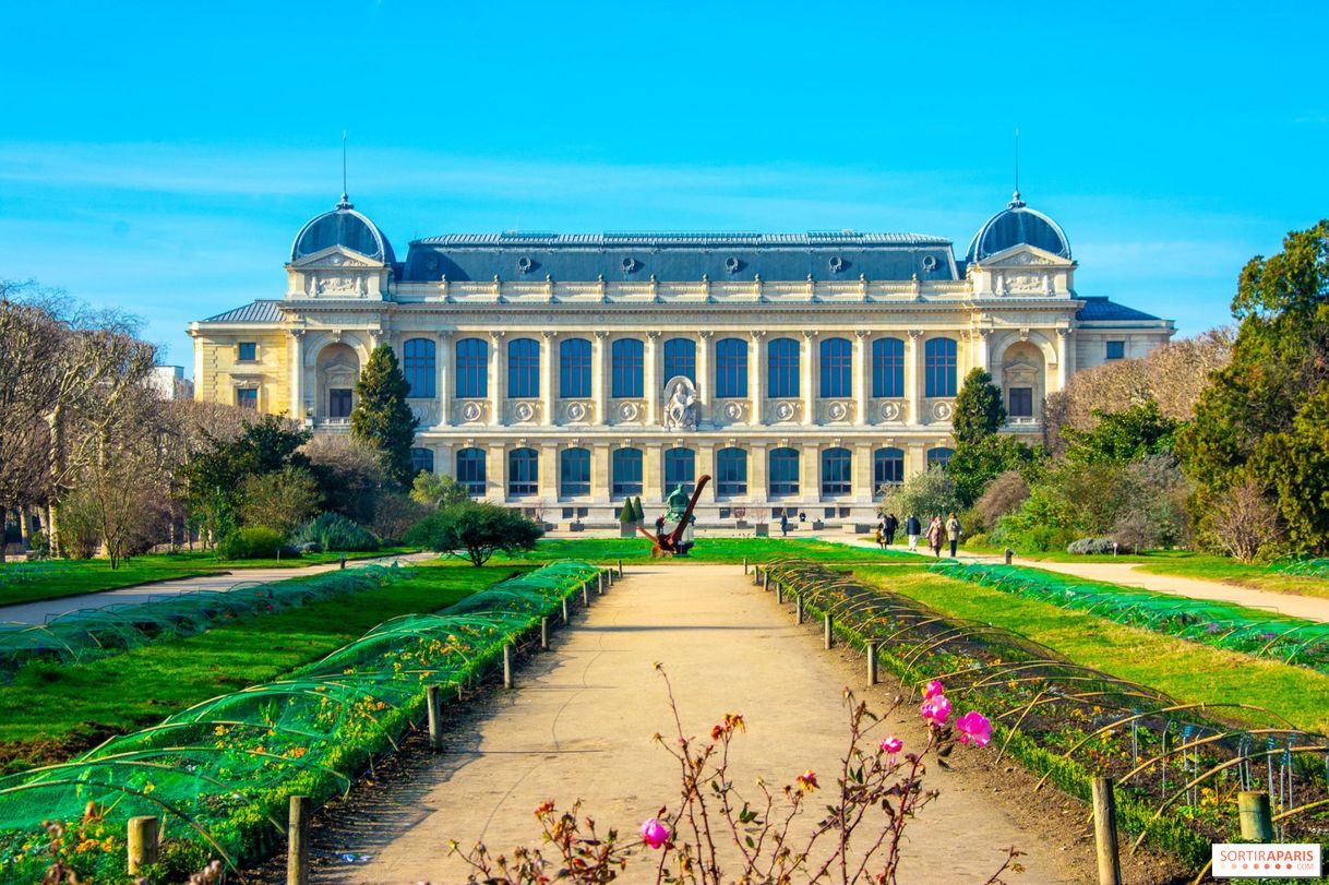 Place Jardin des Plantes
