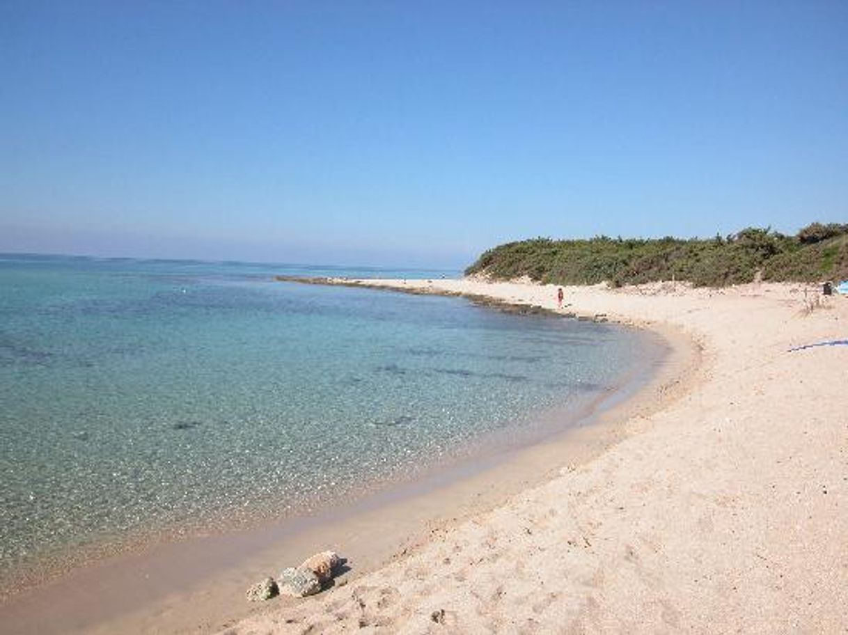 Restaurants El Caribe