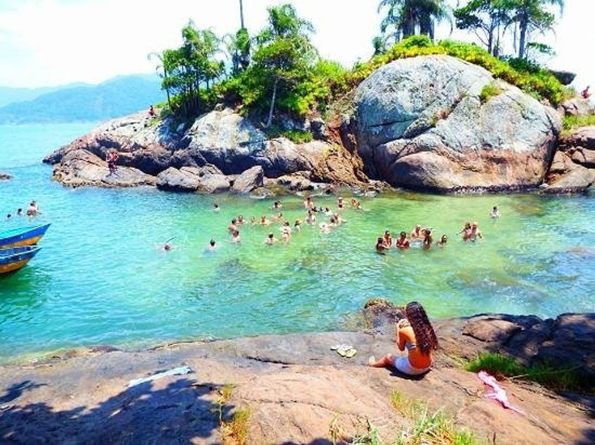 Place Ilha do Guaraú