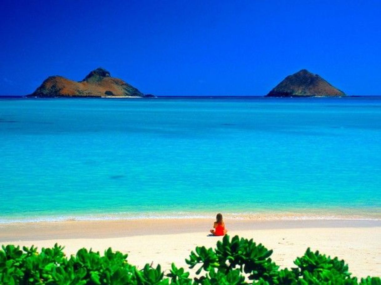 Lugar Hawaii