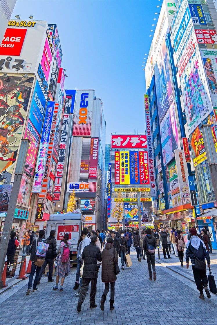 Place Akihabara