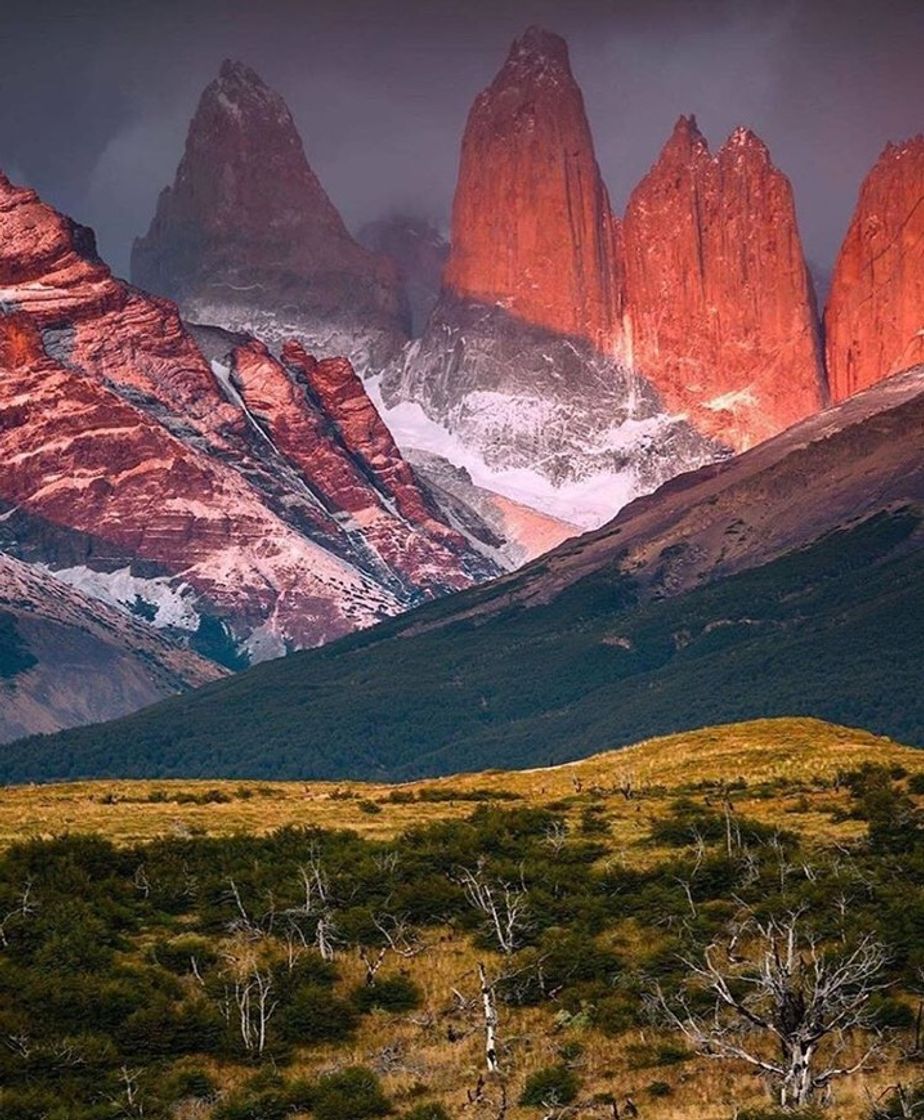 Lugar Torres del Paine