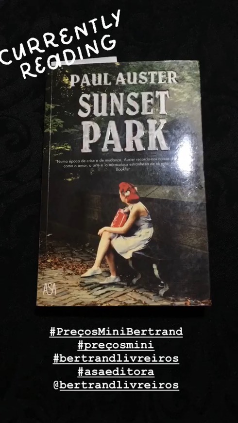 Libro Sunset Park