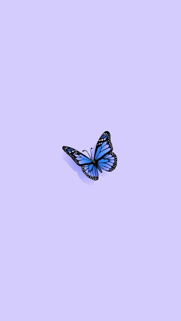 Fashion Wallpaper de borboleta🦋