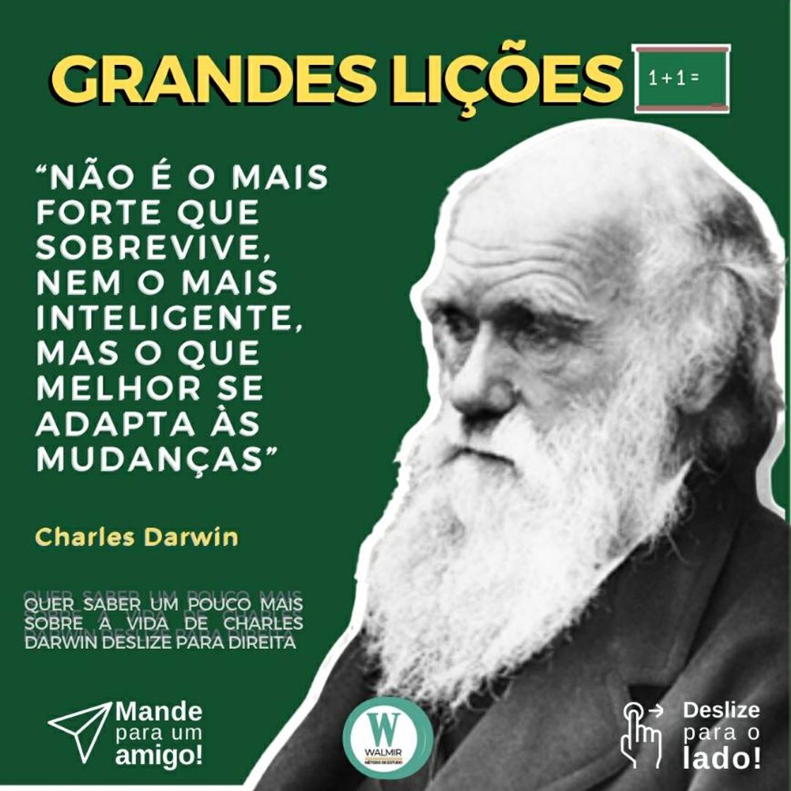 Social Walmir Método de Estudo: Home