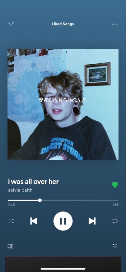 Music i was all over her-salvia palth 