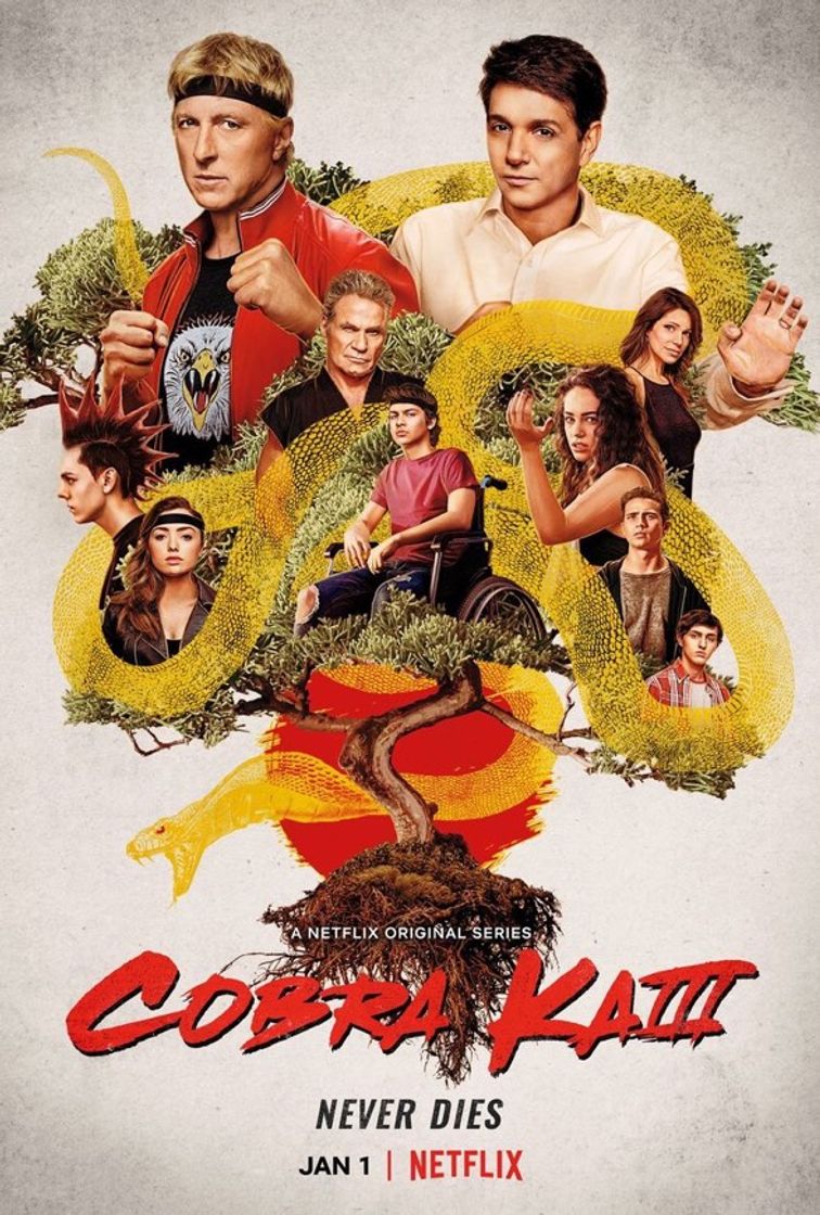 Serie cobra kai 