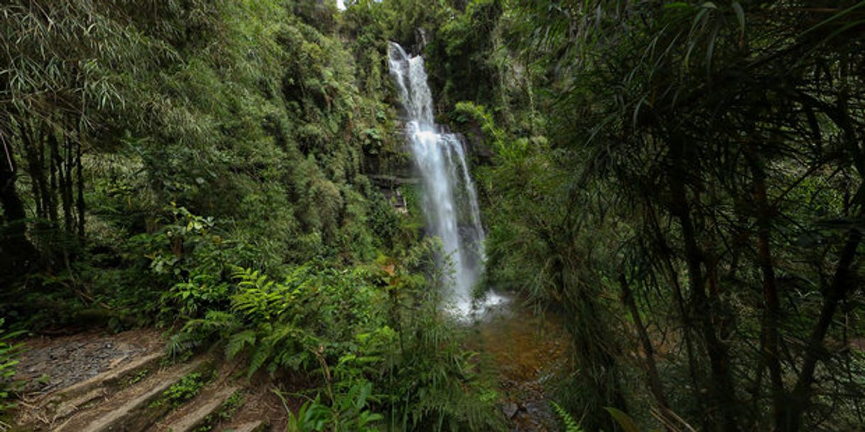 Places Parque Aventura La Chorrera