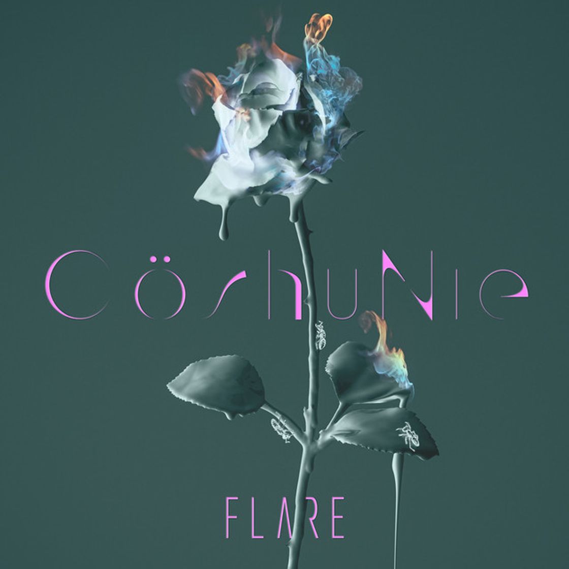 Canciones FLARE - English version