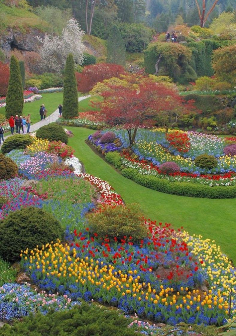 Lugar Butchart Gardens