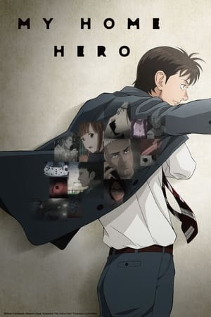 Serie My Home Hero