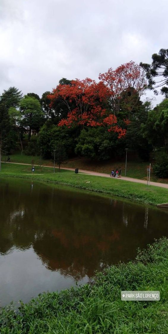 Place Parque São Lourenço