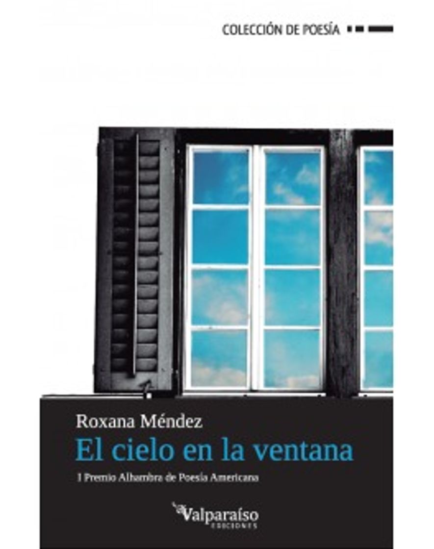 Libro El cielo en la ventana 