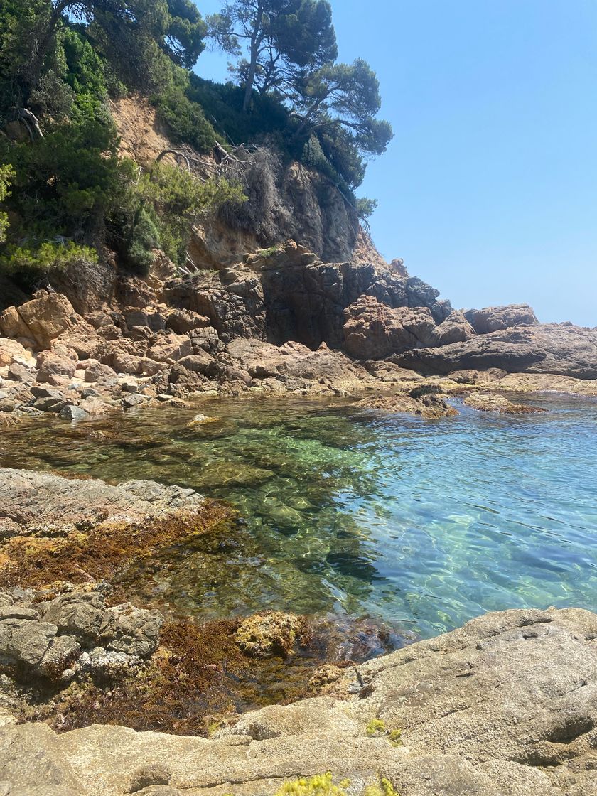 Places Cala sa Boadella