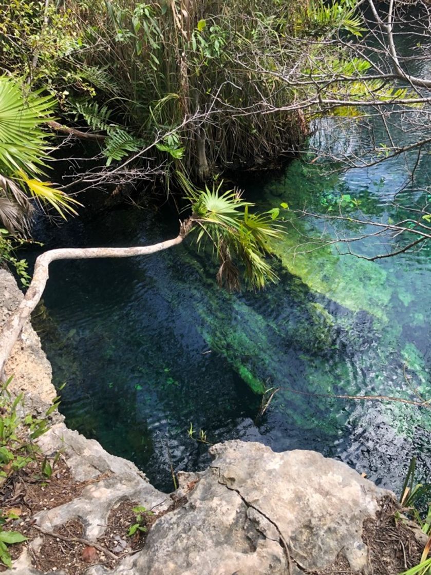 Place Cenote Escondido