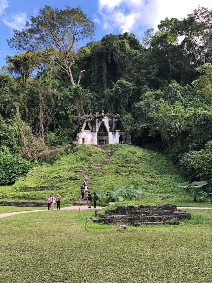 Lugar Ruinas de Palenque