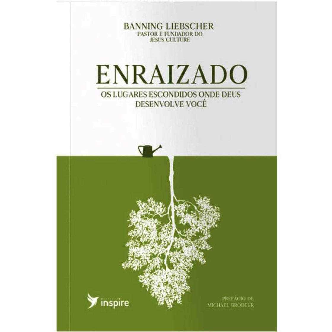 Book Enraizado