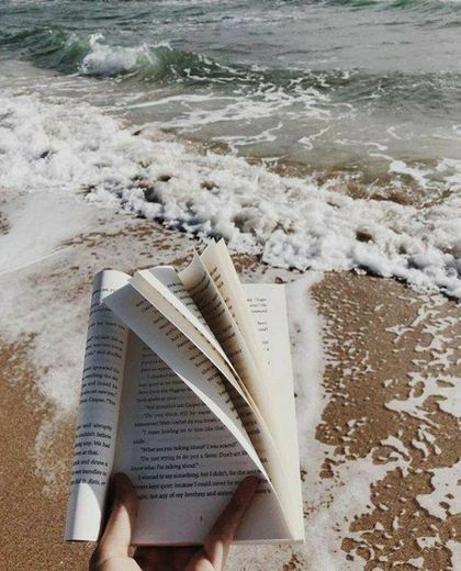 Sea + book = tumblr 