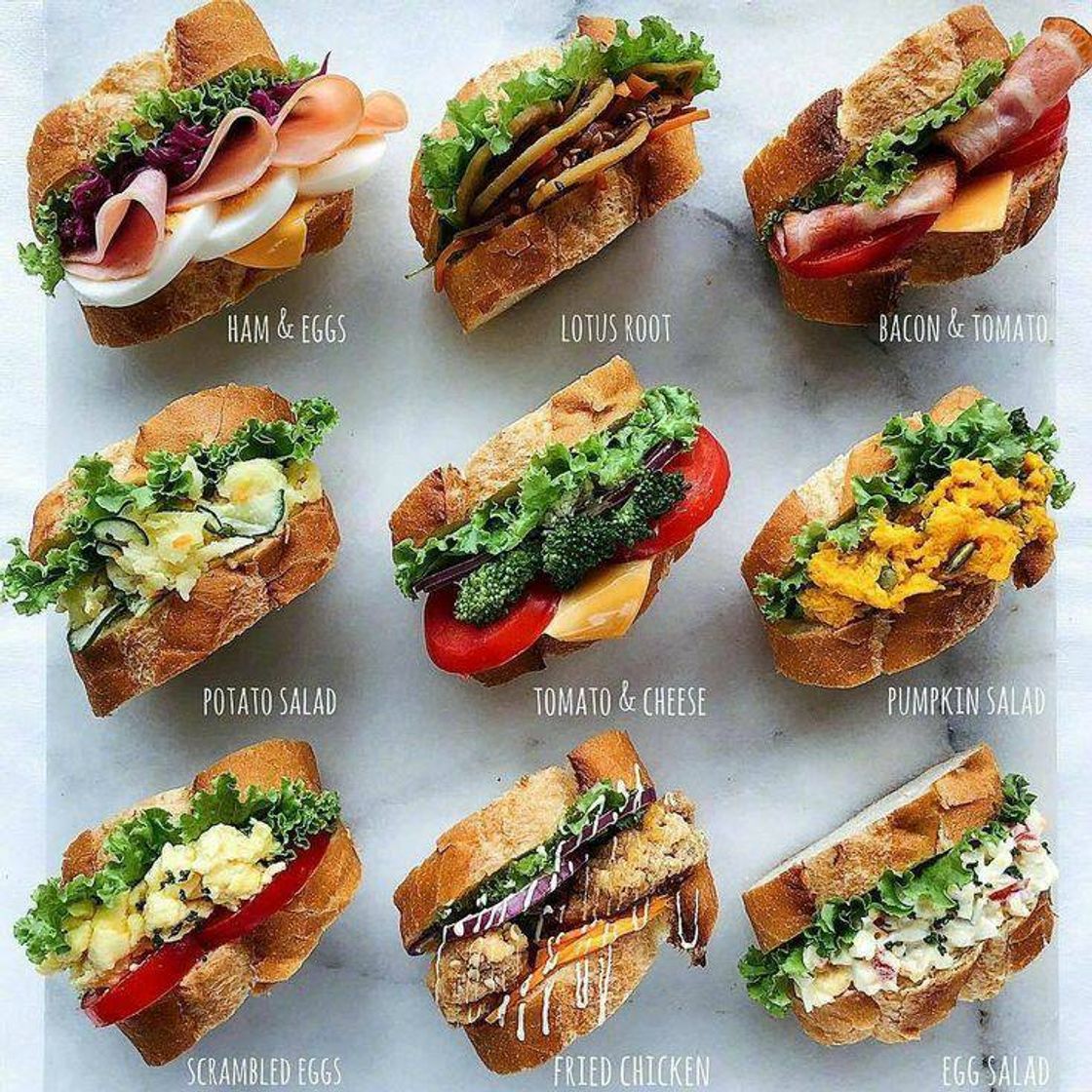 Fashion Sandwiches 