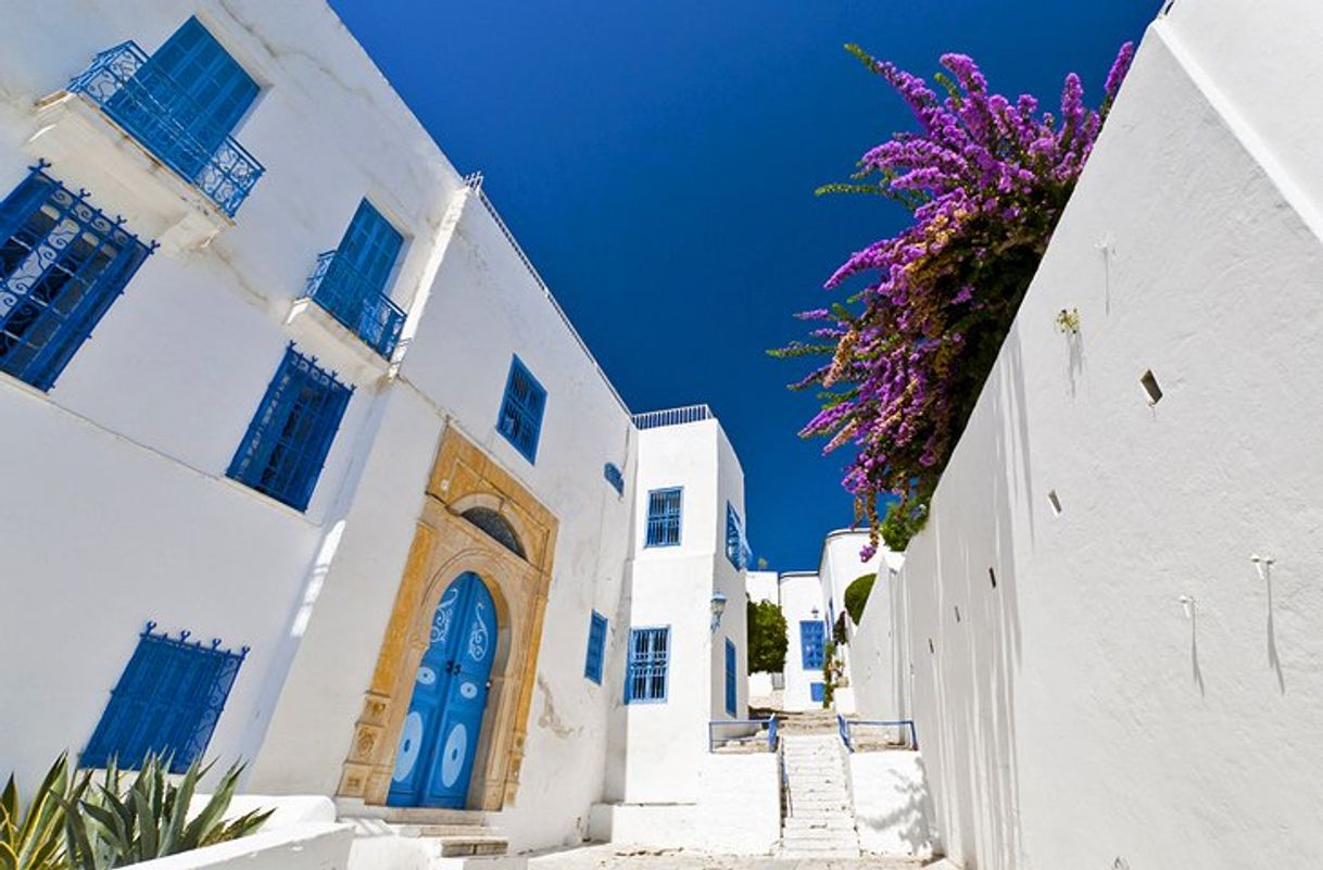 Lugar Sidi Bou Said