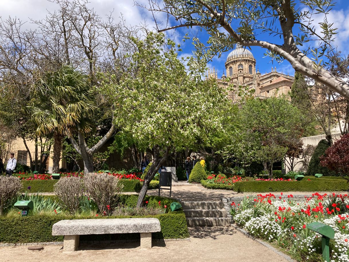 Place Salamanca