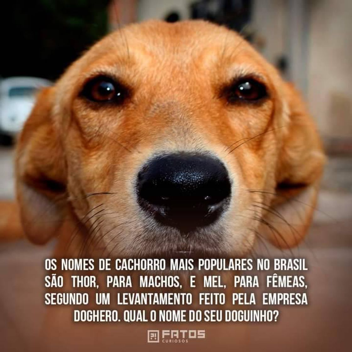 Moda Você sabia?