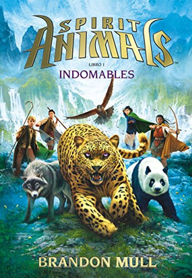 Book Indomables