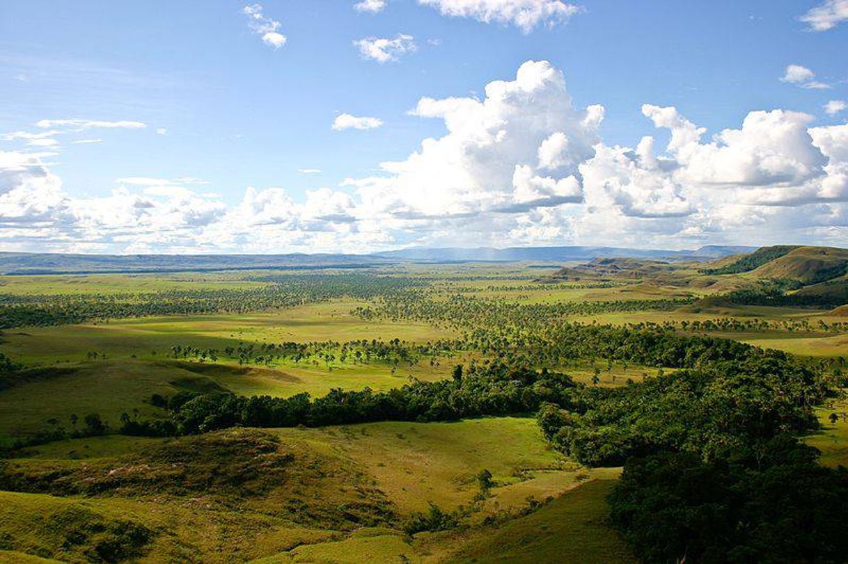 Place La Gran Sabana