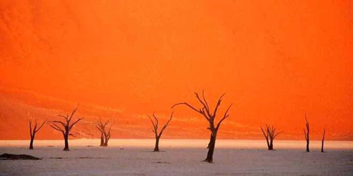 Lugar Dead Vlei