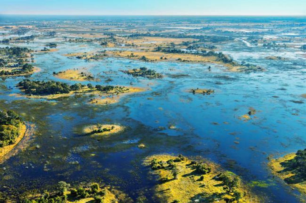 Lugar Delta del Okavango