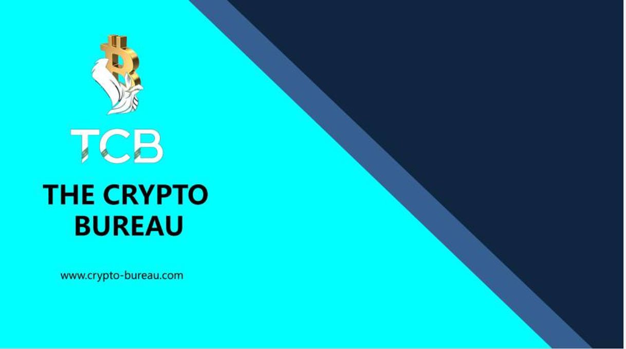 Social Cryptobureau | Best Cryptocurrency Investment Company