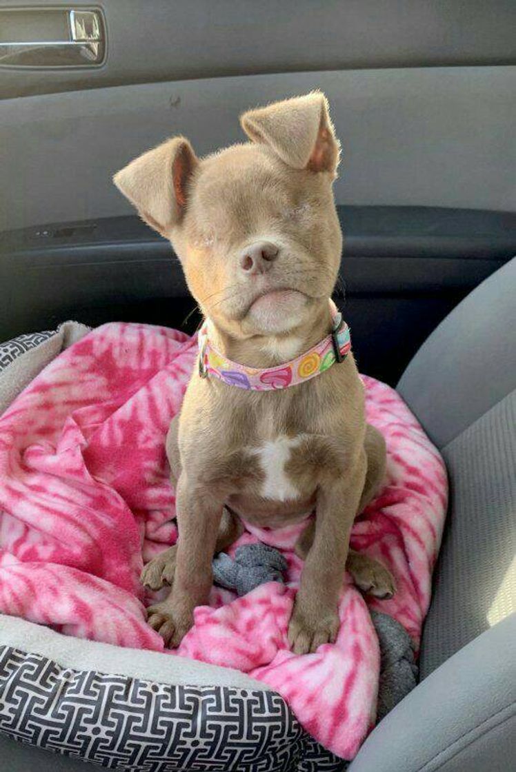 Social FOFINHO DO JEITO Q VIM AO MUNDO!!