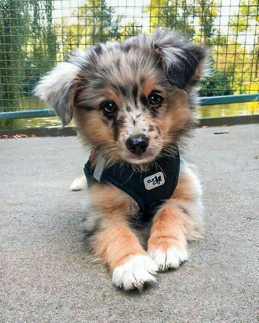 Social QUERO😢😍