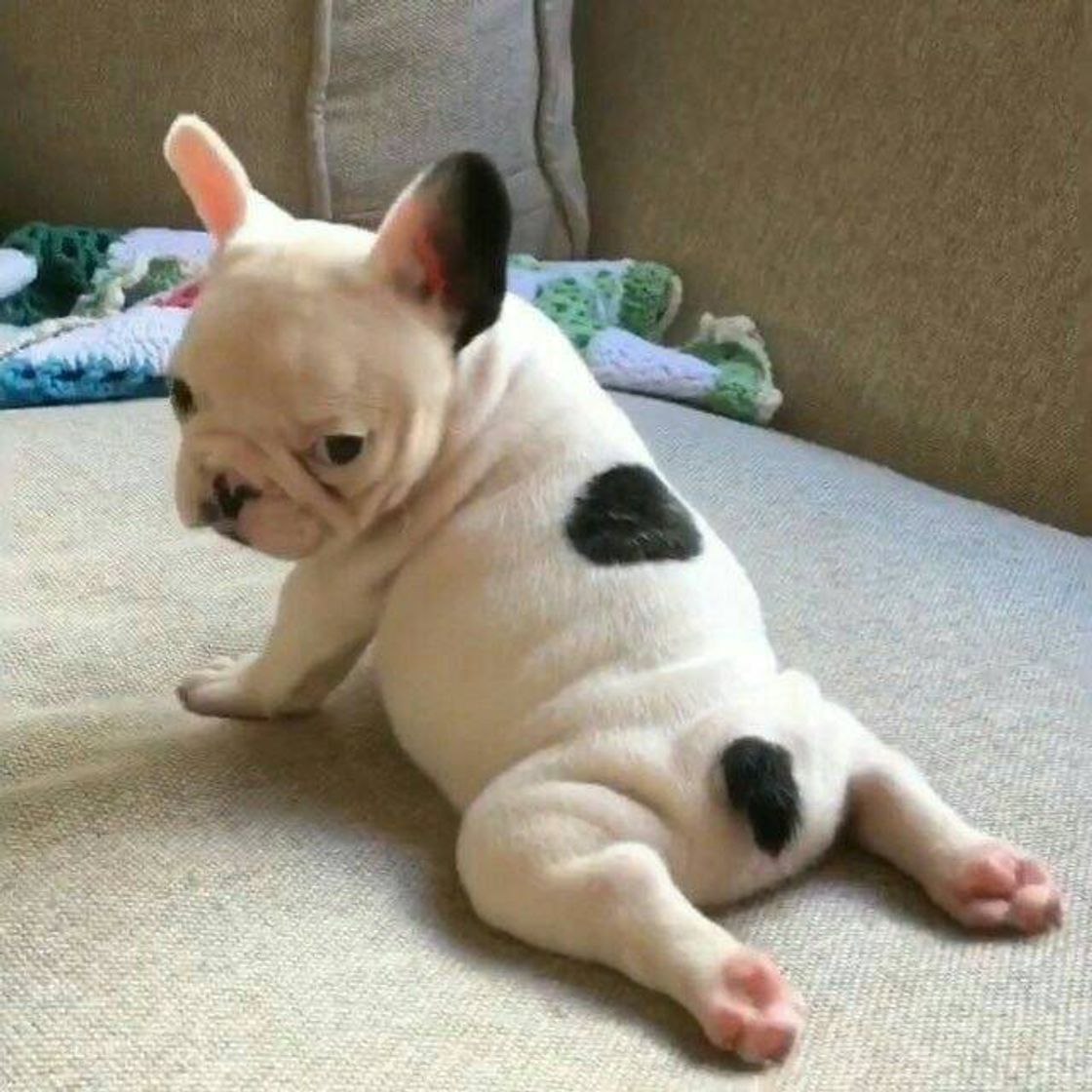 Social SENSUALIZANDO 