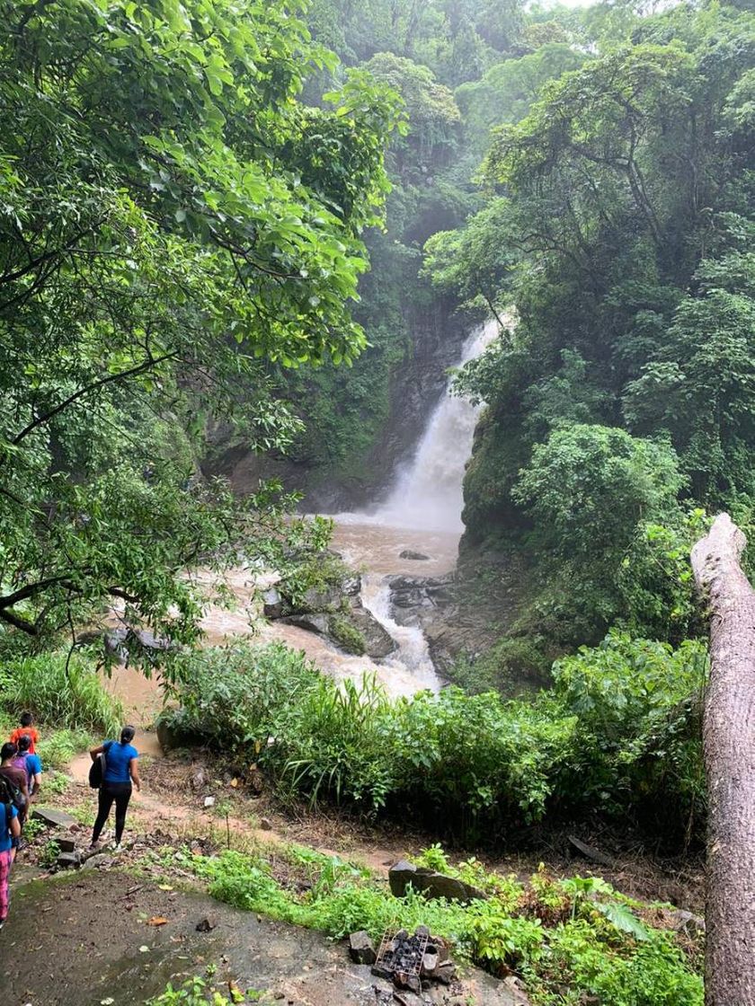 Lugar Las Palmas