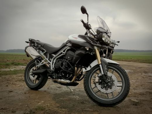 Triumph tiger