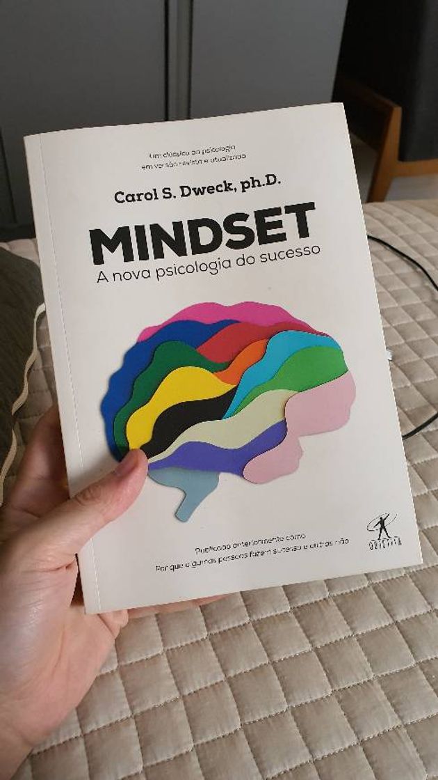 Book Mindset