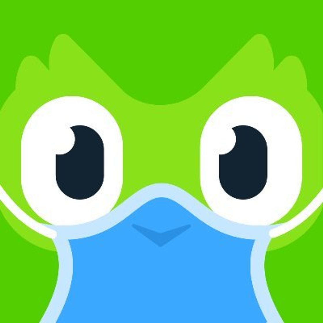 App Duolingo
