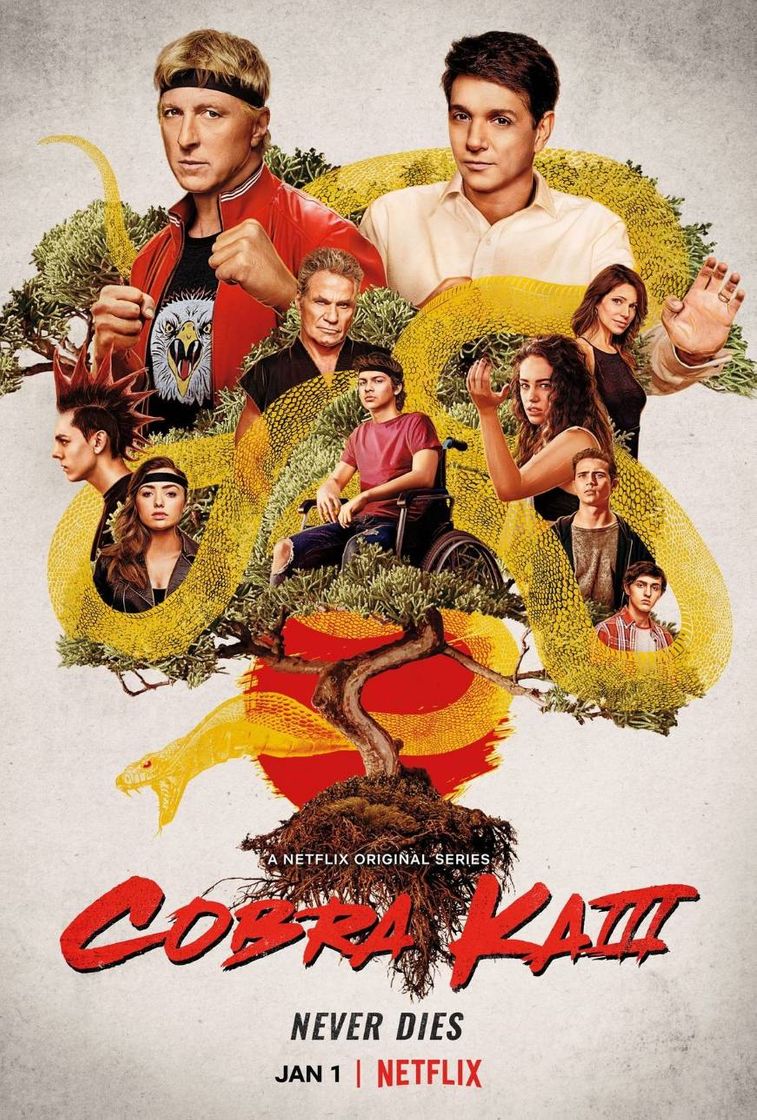 Cobra kai