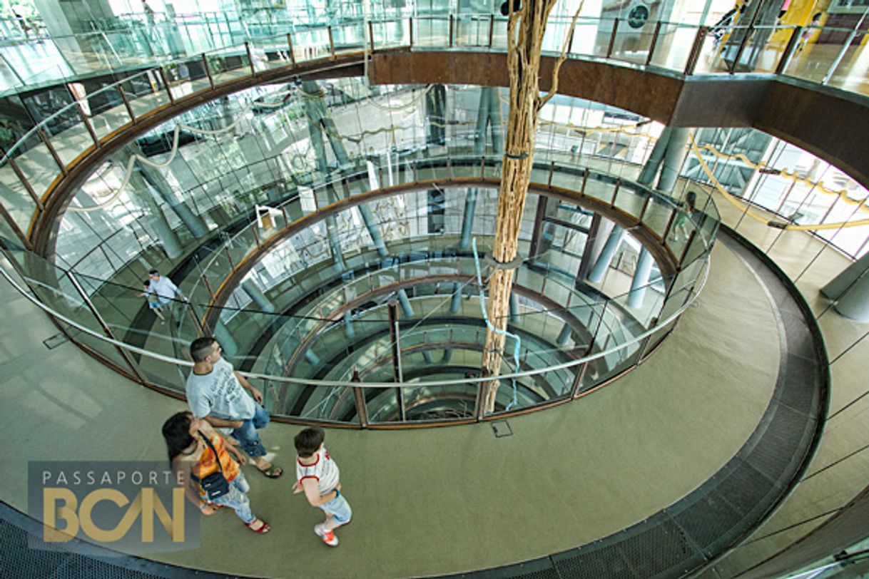 Fashion Cosmocaixa - Museu de la ciència