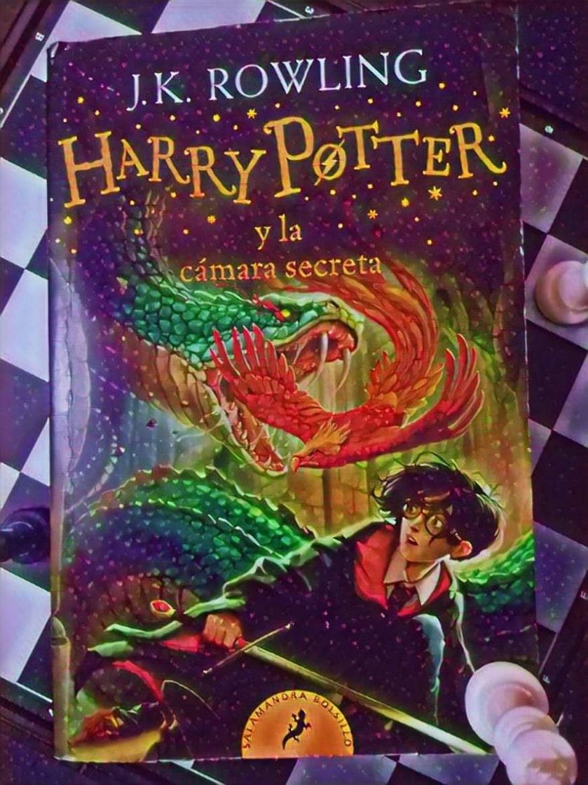 Book Harry Potter y la cámara secreta