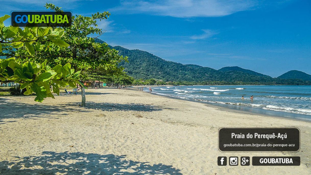 Restaurantes Praia Pereque Açu