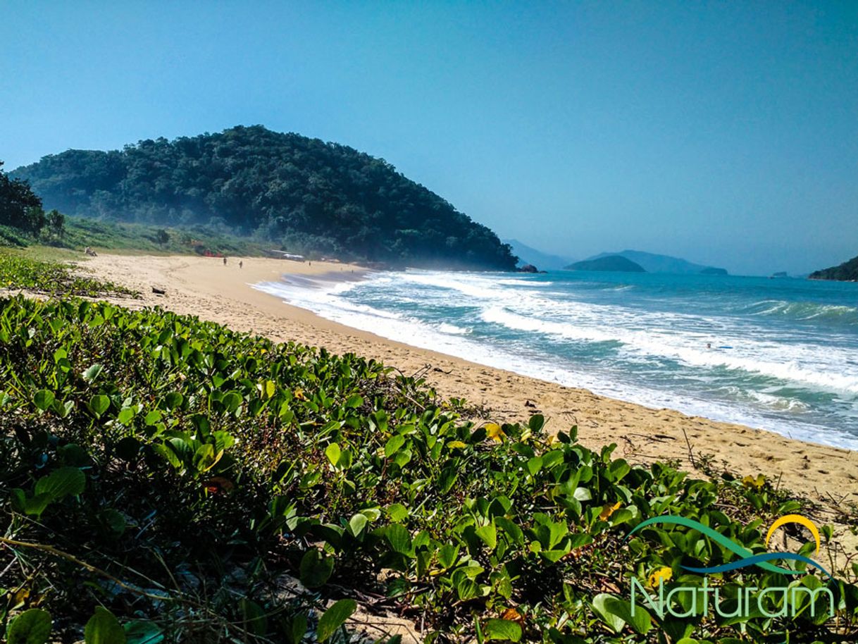 Lugar Praia do Prumirim