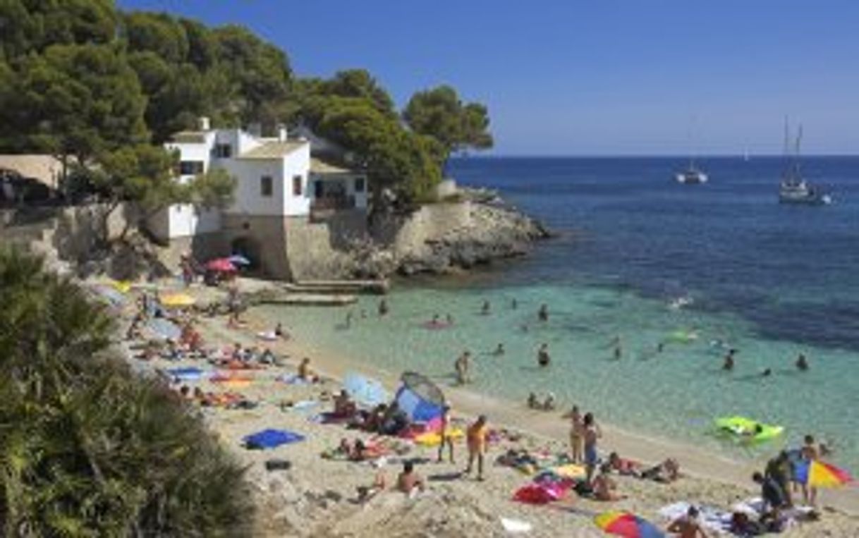 Place Cala Rajada