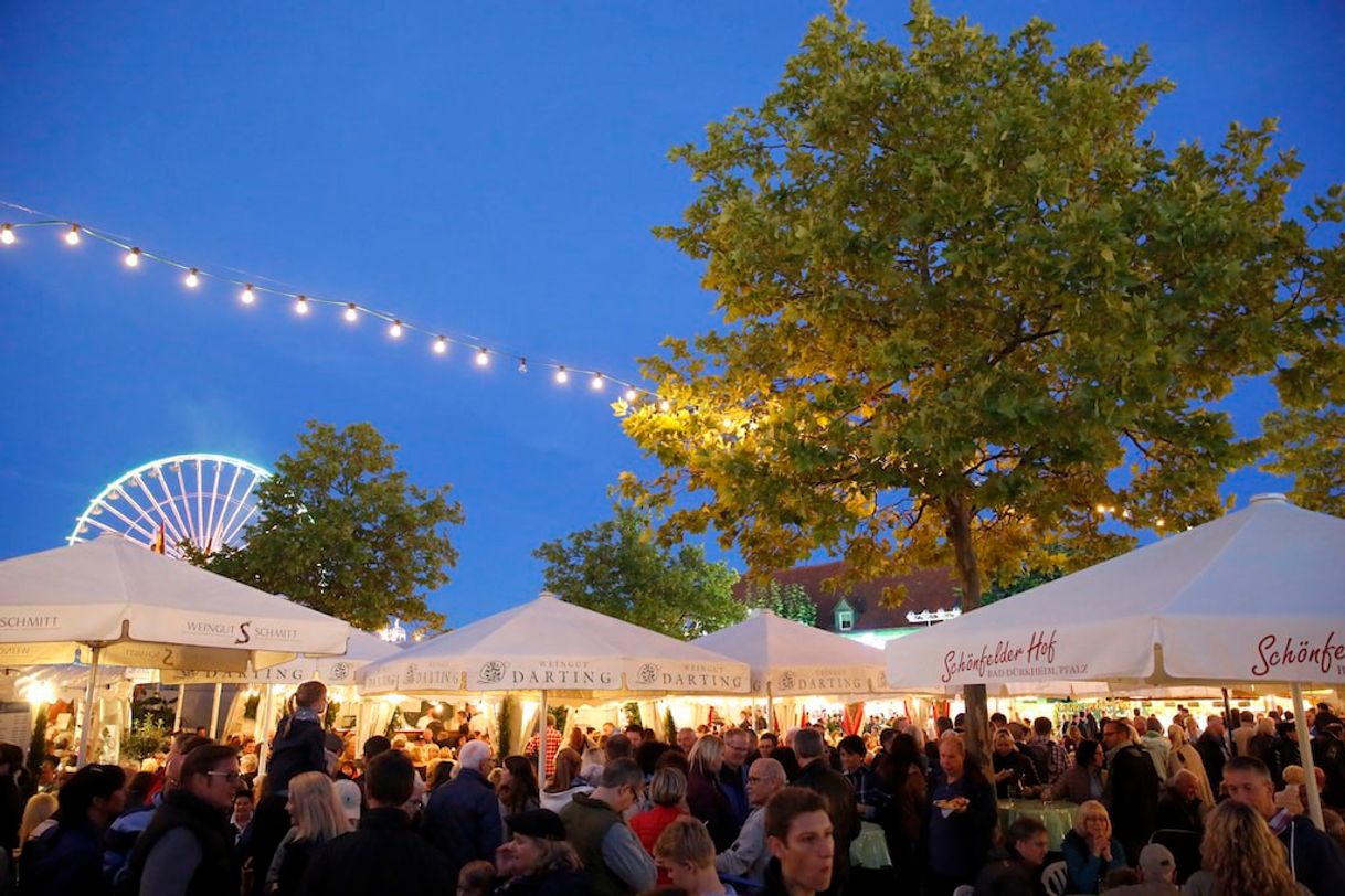 Lugares Wurstmarkt