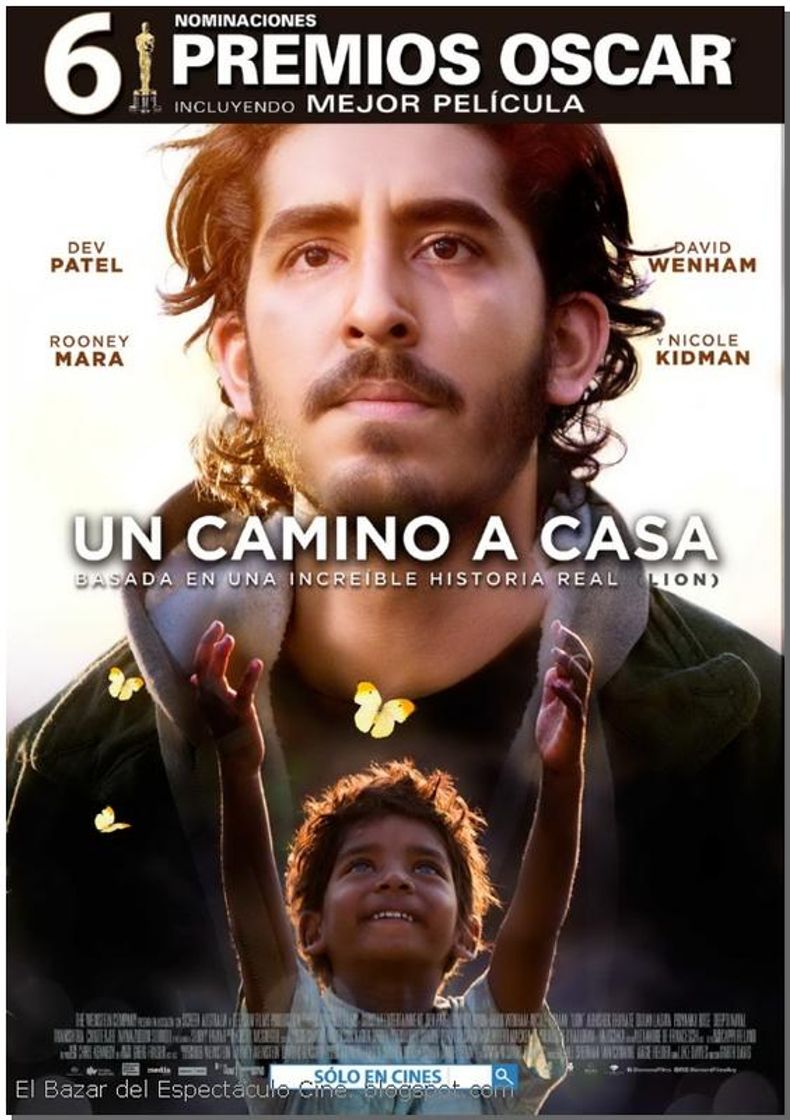 Movie Un camino a casa 
