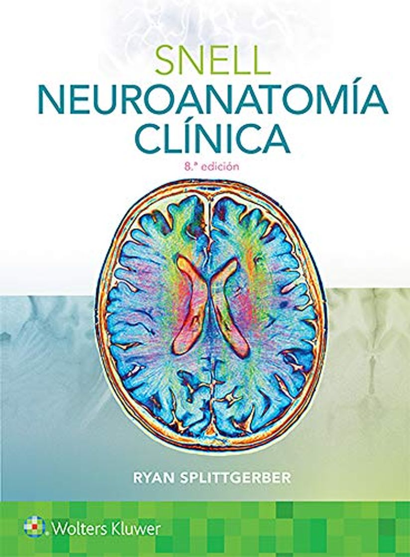 Libro SNELL NEUROANATOMIA CLINICA 8º ED