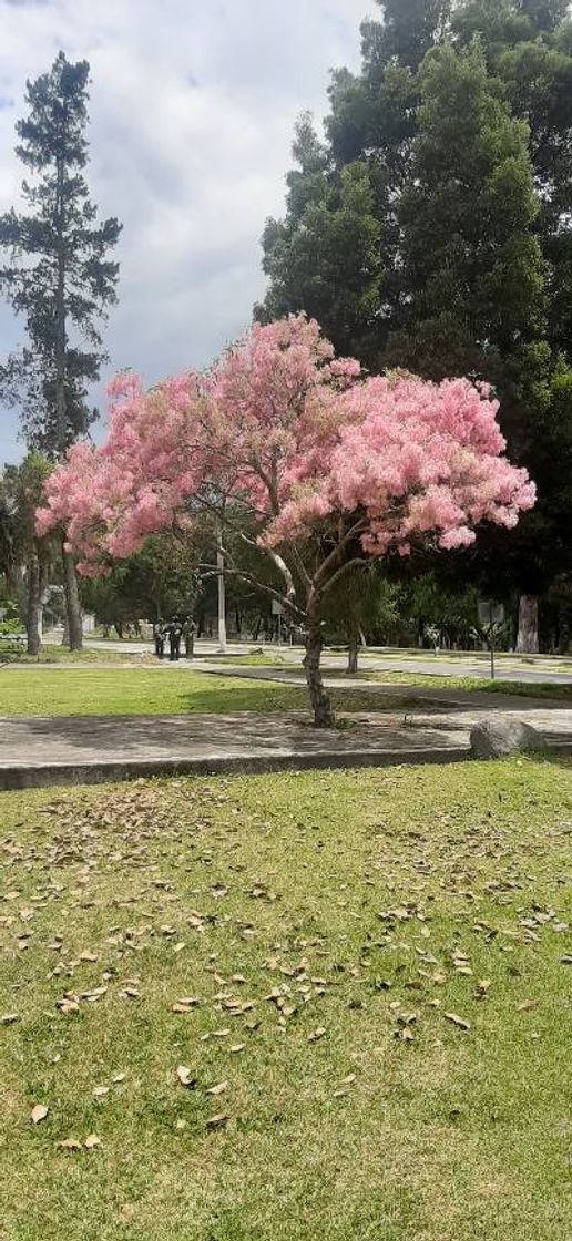 Places Sangolquí